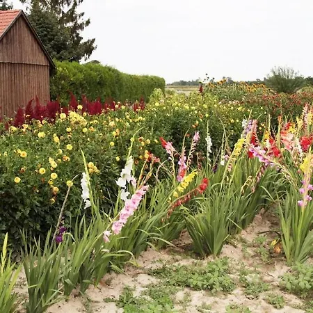 Apartment Blumenhof Floraswelten Altenworth