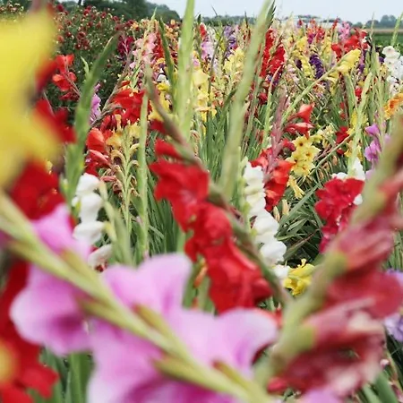 Blumenhof Floraswelten