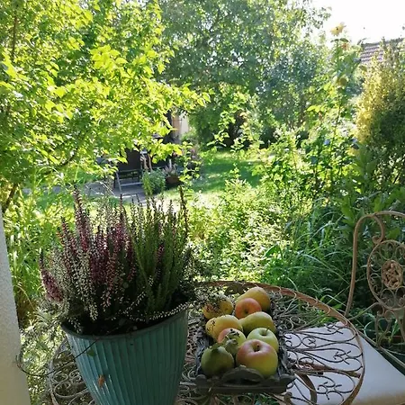 Blumenhof Floraswelten Apartment Altenworth